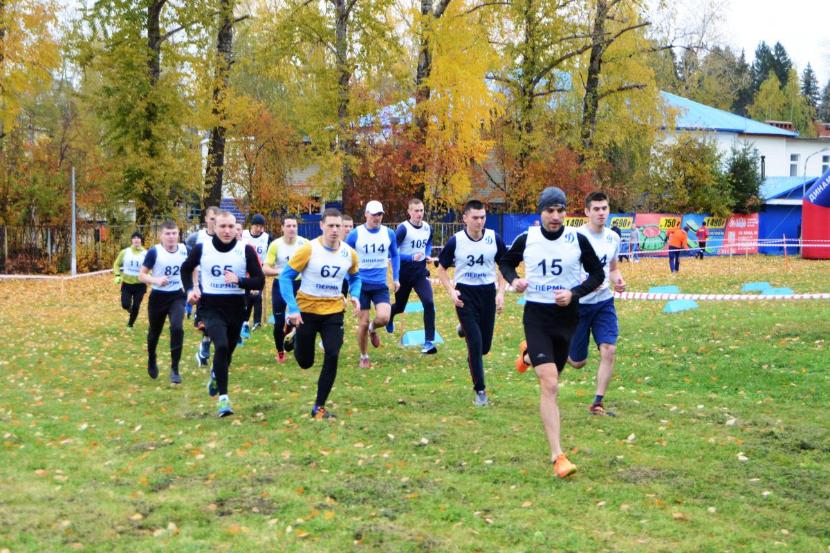 В Перми на лыжной базе «Динамо» состоялся чемпионат по легкоатлетическому  кроссу