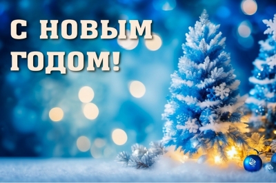 С наступающим Новым годом!!!